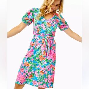 Lilly Pulitzer Isolde rose to the occasion Floral V-Neck Dress small pink floral